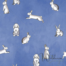 Load image into Gallery viewer, Exclusive Set for BBD