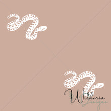 Load image into Gallery viewer, "Mirage Collection" Cerastes Vipera - Moxie