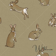 Load image into Gallery viewer, "Hop To It" Cottontail Family - Elmwood