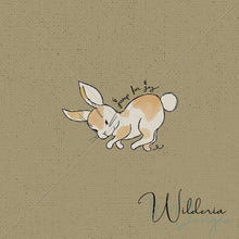 Load image into Gallery viewer, "Hop To It" Jump For Joy