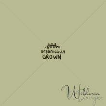 Load image into Gallery viewer, "My Little World" Collection Organically Grown Panel - Pistachio