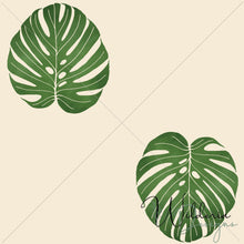 Load image into Gallery viewer, Monstera - Glow
