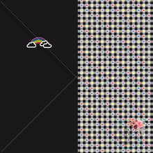 Load image into Gallery viewer, Rainbow Gingham Rapport