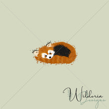 Load image into Gallery viewer, Red Panda Panel