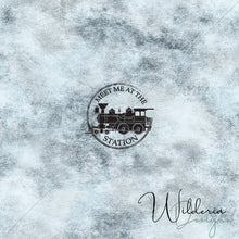 Load image into Gallery viewer, Train Cars Coordinating Panel Set - Blue Dark Grunge