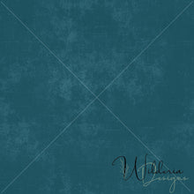 Load image into Gallery viewer, Grunge Linen Transparent Texture Overlay