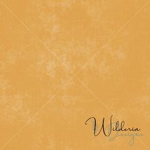 Load image into Gallery viewer, Grunge Linen Transparent Texture Overlay