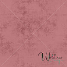 Load image into Gallery viewer, Grunge Linen Transparent Texture Overlay