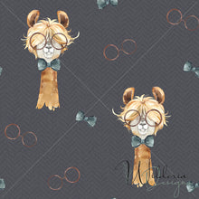 Load image into Gallery viewer, Llama in Glasses Collection