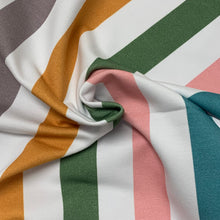 Load image into Gallery viewer, Retro Vertical Stripe - CL French Terry