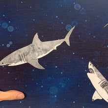 Load image into Gallery viewer, Sharks - Cotton Lycra