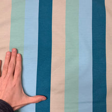 Load image into Gallery viewer, Seaworld Stripe Coordinate - CL French Terry