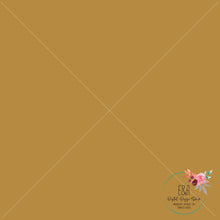 Load image into Gallery viewer, Little Cougar Collection