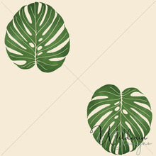 Load image into Gallery viewer, Monstera - Glow
