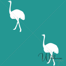 Load image into Gallery viewer, &quot;Mirage Collection&quot; Ostrich - Fresco
