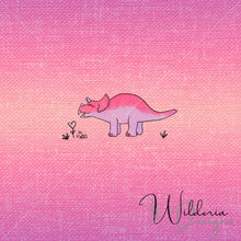 Load image into Gallery viewer, Pink Dino Collection
